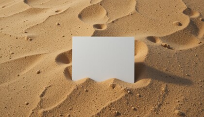 Blank white card nestled in sunlit desert sand dunes provides a minimalist mockup for summer design projects.