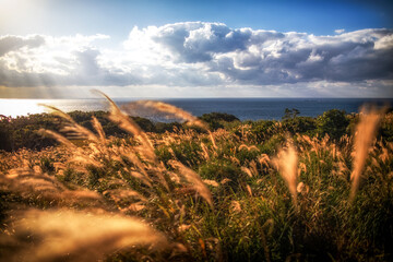 Sunset at Kurosaki, Yakushima, Kagoshima Prefecture, Japan