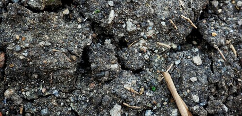 Cracked earth showing arid and dry conditions, suitable for concepts of drought, heat, or ecology. High-resolution depiction of a natural phenomenon, offering visual focus on environmental.