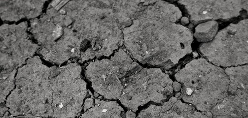 Cracked earth showing arid and dry conditions, suitable for concepts of drought, heat, or ecology. High-resolution depiction of a natural phenomenon, offering visual focus on environmental.