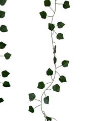 Artificial Green Ivy Garland Elegant Decoration Isolated On Black Background