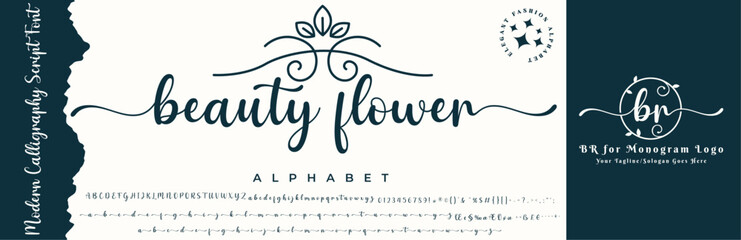 calligraphy Stylish Script Font alphabet With BR logo