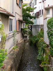 住宅密集地を流れる用水路
