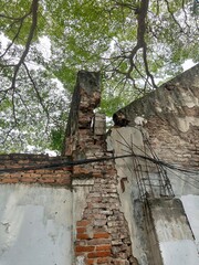 Old Weathered Brick Wall with Cracks and Green Tree Canopy Above
