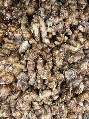 Kencur rhizomes, rich in aroma and herbal benefits, widely used in traditional medicine and Southeast Asian cuisine for its distinctive flavor.