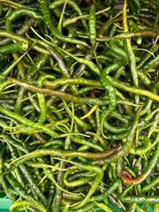 A tangled burst of green chili heat — bold, fresh, and fiery. Each curve tells a spicy tale, ready to ignite every dish it touches.