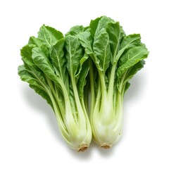 Fresh green bok choy vegetable isolated on white background