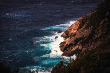 Forest Road in the western part of Yakushima Island, Kagoshima Prefecture, Japan, the scope of the World Natural Heritage