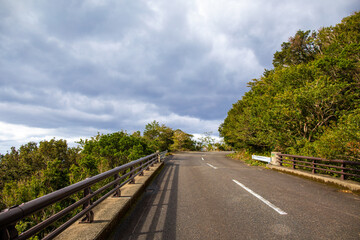 Forest Road in the western part of Yakushima Island, Kagoshima Prefecture, Japan, the scope of the World Natural Heritage