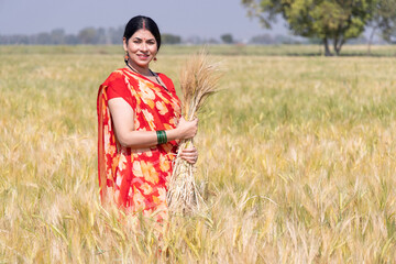 Female farmer in sari carrying bunches of wheat crops in organic farm