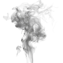 Fototapeta premium Abstract grayscale smoke swirls artistic design black background, isolated on a transparent background