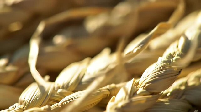 Woven dried natural fiber material, macro view
