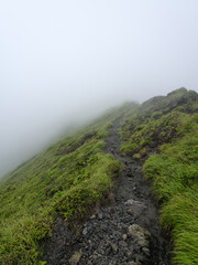 草の生い茂る山の尾根の山道