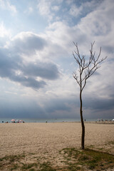 plaża nad Morzem Egejskim podczas zbliżającej się burzy, Paralia Katerinis Grecja