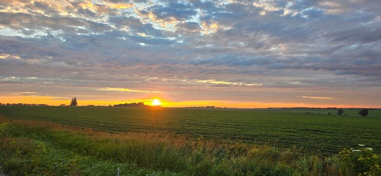 Sunset over the Cornfields of Rochester, Minnesota