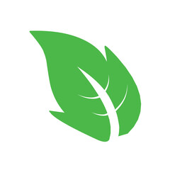 Natural set of abstract isolated green leaves icons, eco signs and label, plant branches, twigs tea and natural sprigs silhouettes on white background