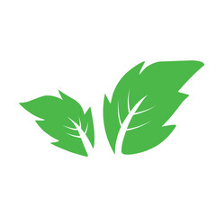 Natural set of abstract isolated green leaves icons, eco signs and label, plant branches, twigs tea and natural sprigs silhouettes on white background