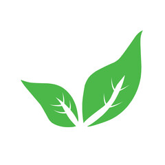 Natural set of abstract isolated green leaves icons, eco signs and label, plant branches, twigs tea and natural sprigs silhouettes on white background