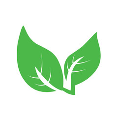 Natural set of abstract isolated green leaves icons, eco signs and label, plant branches, twigs tea and natural sprigs silhouettes on white background