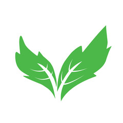 Natural set of abstract isolated green leaves icons, eco signs and label, plant branches, twigs tea and natural sprigs silhouettes on white background