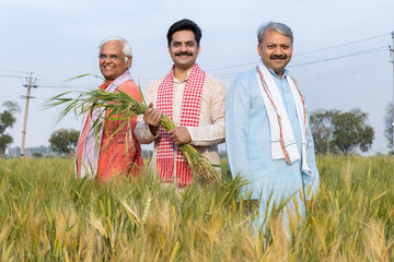 Farmers discussing while harvesting in organic farm 