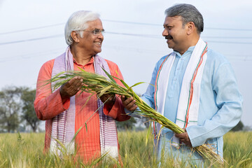 Farmers discussing while harvesting in organic farm 