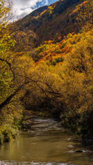 Autumn Festival, Arrowtown, New Zealand