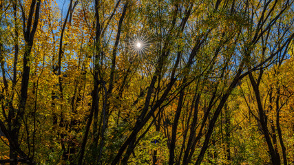 Autumn, Arrowtown, New Zealand