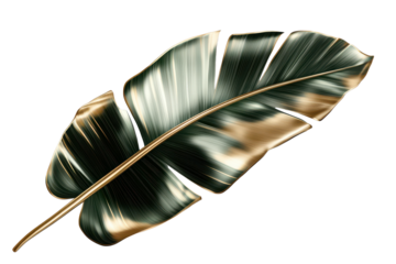 Elegant green and gold palm leaf illustration showcasing intricate details and vivid colors against a transparent background
