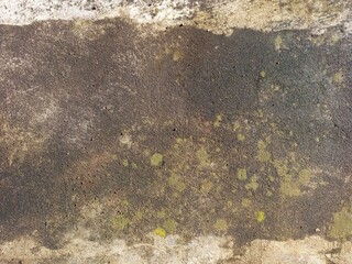 Grungy Concrete Surface with Dirt and Moss Stains