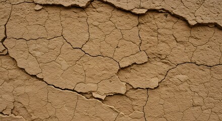 Fototapeta premium Cracked Earth Texture Dry Soil Background Image