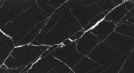 Black and White Marble Texture High-Resolution Image for Design Projects