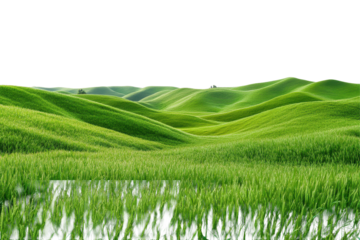 Lush green grassland landscape with rolling hills under a clear sky showcasing vibrant plant life in a serene and natural environment