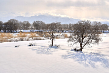 Obraz premium 冬の最上川