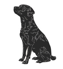 Naklejka premium A detailed illustration of a sitting black dog with an attentive posture.