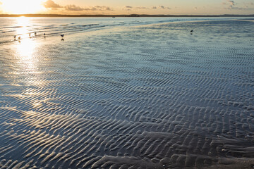 sunrise on the beach at low tide
