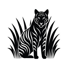 tiger on a white background