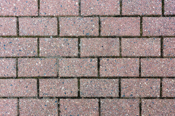 Detailed background of rectangular brick sidewalk with moss growing in the seams