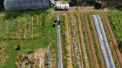 Aerial View of an Organic Farm Illustrating Sustainable Agricultural Practices With Neat Rows of...