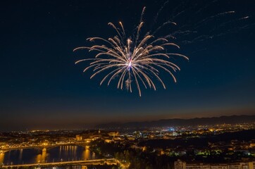 Firework Bloom Over a Nighttime Cityscape and River Bridges