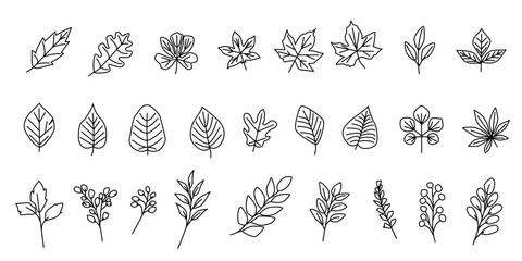 Set of Autumn leaves. Natural leave line icon collection. simple natural leaf icons. Vector illustration.