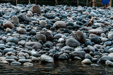 Obraz premium river in the forest