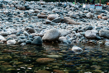 river in the forest