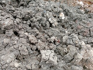 The drying mud soil becomes beautiful and attractive 