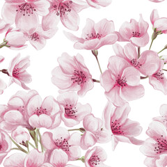 Seamless pattern with pink sakura flowers. Cherry blossom. Small pink buds and petals. Watercolor illustration without background. Hand drawn.