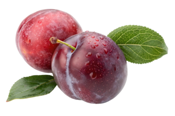 Fresh plums fruit healthy eating plum benefits ripe plums antioxidant plums summer fruit plum nutrition