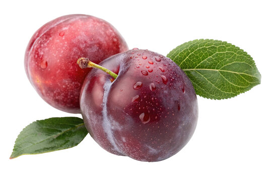 Fresh plums fruit healthy eating plum benefits ripe plums antioxidant plums summer fruit plum nutrition