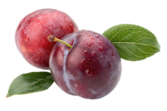 Fresh plums fruit healthy eating plum benefits ripe plums antioxidant plums summer fruit plum nutrition