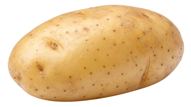 Isolated raw potato close up shot for cooking recipes and food photography, healthy eating concept