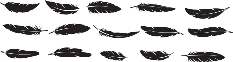 Collection of black feather silhouettes in various shapes © Nizam